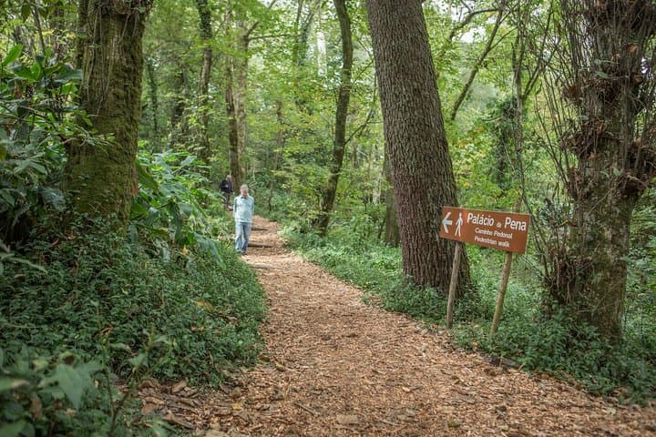 Sintra, Cabo da Roca & Cascais: A Day Tour from Lisbon Through Palaces, Cliffs and Coast photo 2