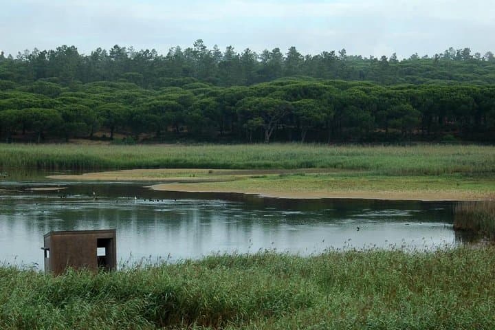 Bird Watching in Albufeira Lagoon — Guided Tour in Arrábida Natural Park