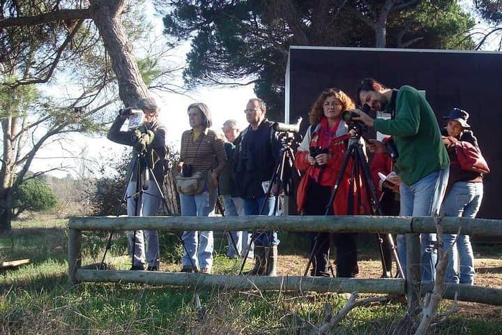 Bird Watching in Albufeira Lagoon — Guided Tour in Arrábida Natural Park photo 2