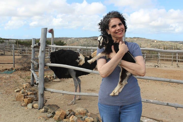 Highlights of Aruba Island Tour: Ostriches, Aloe & Historic Coastline photo 2
