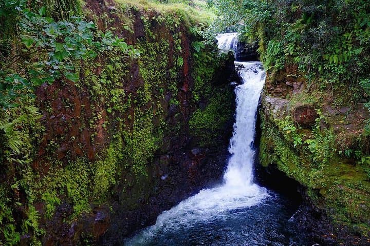 Pristine Waters of Upolu: To Sua Trench, Lalomanu & Waterfall Swim Day Tour photo 2