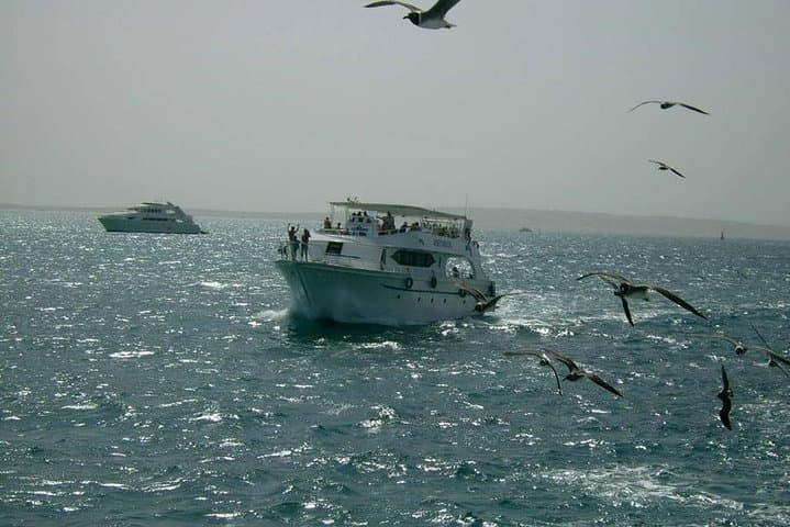 Private Red Sea Day Trip from Hurghada — Dolphin House or Island Snorkel & Dive