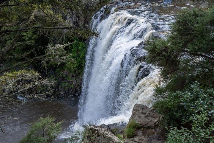 Historic Kerikeri Shore Excursion: Stone Store, Rainbow Falls & Lunch at The Plough & Feather photo 2