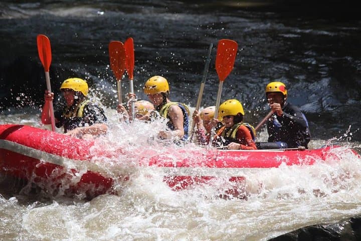 Ayung River Rafting in Ubud: 11 km Class II–III Rapids with Riverside Lunch photo 2