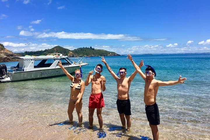 Hole in the Rock Cruise Bay of Islands: Snorkel, Island Hikes & Cape Brett Lighthouse photo 5