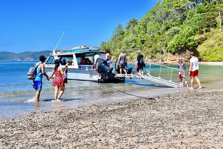 Bay of Islands Half-Day Cruise: Snorkel, Paddleboard & Island Lookouts