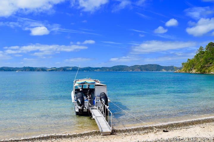 Bay of Islands Half-Day Cruise: Snorkel, Paddleboard & Island Lookouts photo 2