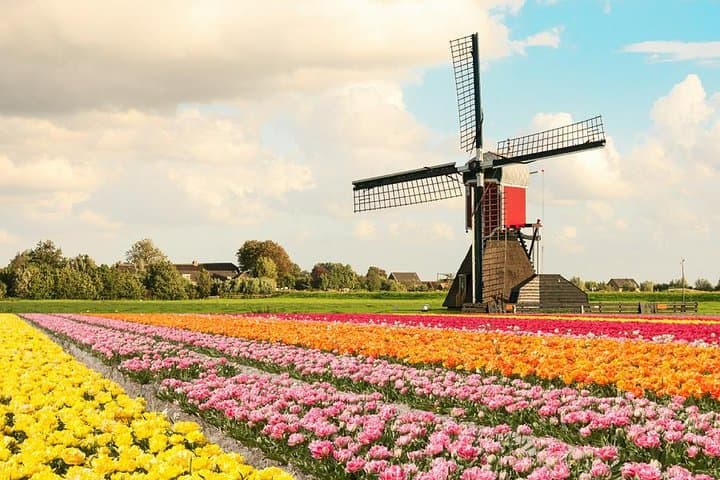 Keukenhof Tulips & Zaanse Schans Windmills Day Tour from Amsterdam photo 1