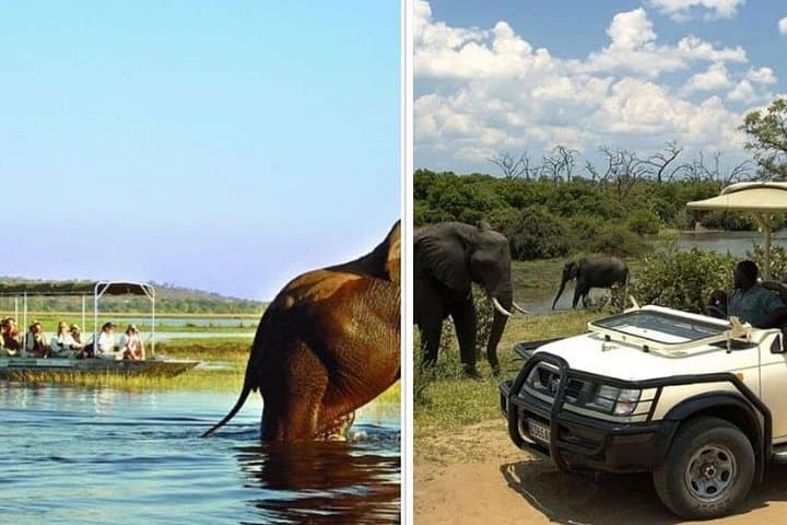 Victoria Falls & Chobe 4-Day Safari: Falls, River Cruise and Full-Day Chobe photo 2