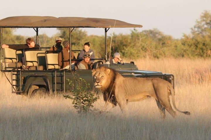 Full-Day Hwange Safari from Victoria Falls: Big Five & Elephant Herds