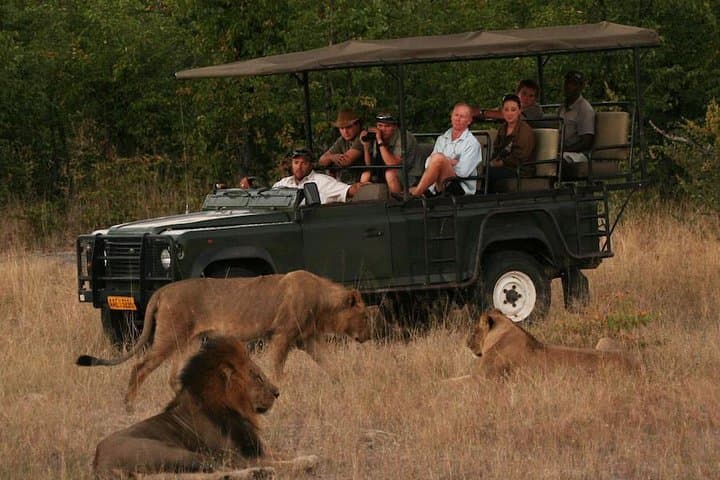 Full-Day Hwange Safari from Victoria Falls: Big Five & Elephant Herds photo 2