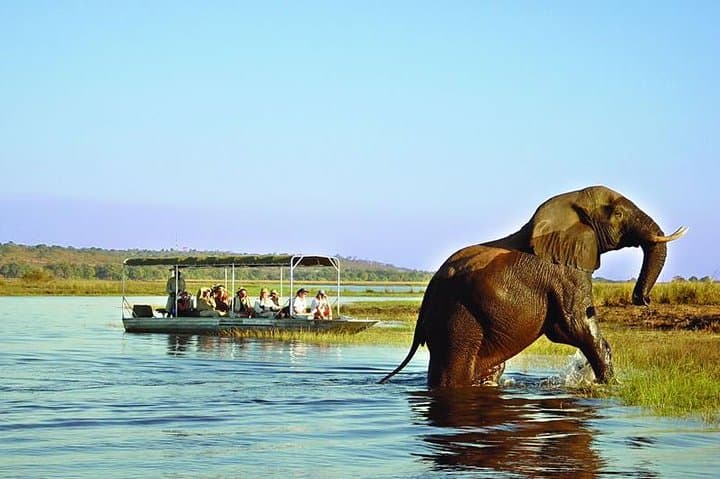9-Day Zimbabwe Safari with Chobe Day Trip to Botswana — Hwange, Victoria Falls & More photo 2
