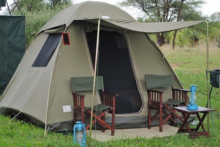 Chobe Camping Safari From Victoria Falls: 3-Day Bush & River Experience