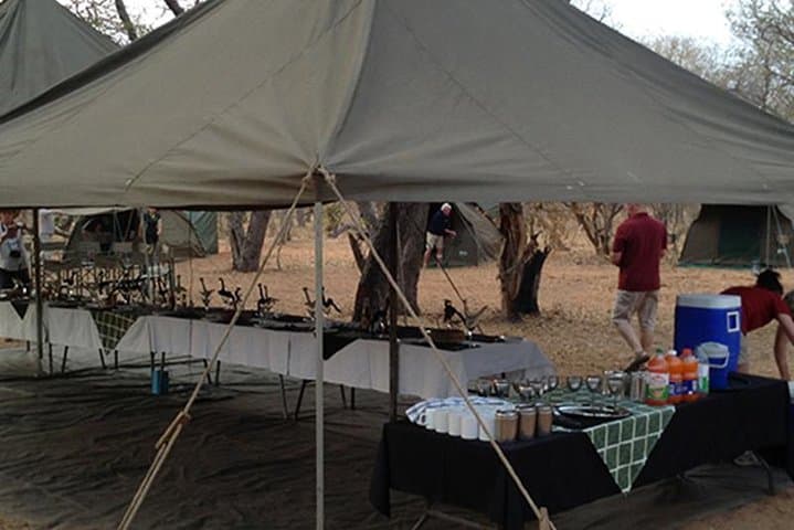 Chobe Camping Safari From Victoria Falls: 3-Day Bush & River Experience photo 2