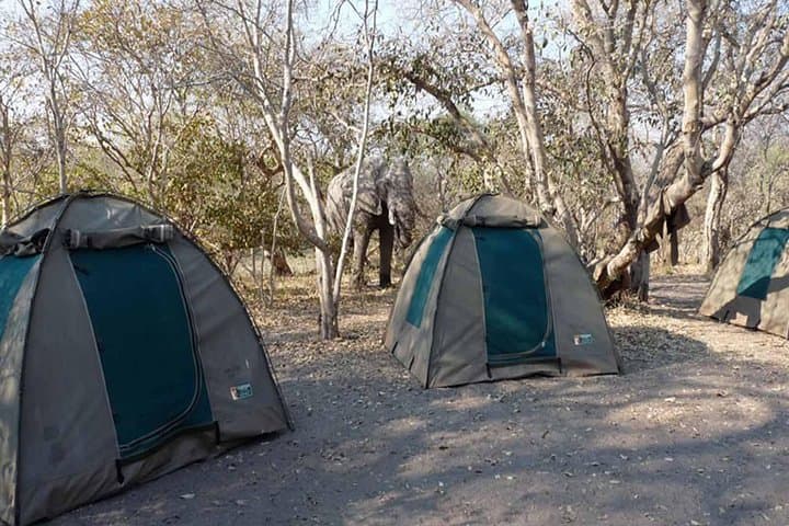 Chobe Camping Safari from Victoria Falls — 2-Day Camping & Game Drives