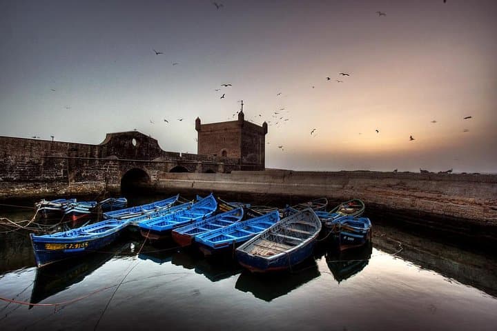Explore Essaouira from Marrakech: Medina, Beach & Argan Oil Day Trip