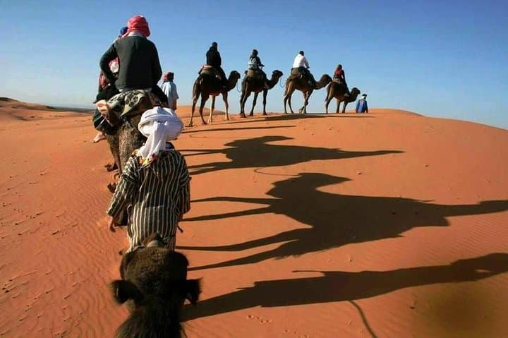 Zagora Desert 2-Day Private Tour from Marrakech: Atlas Passes, Ait Benhaddou & Overnight Bivouac