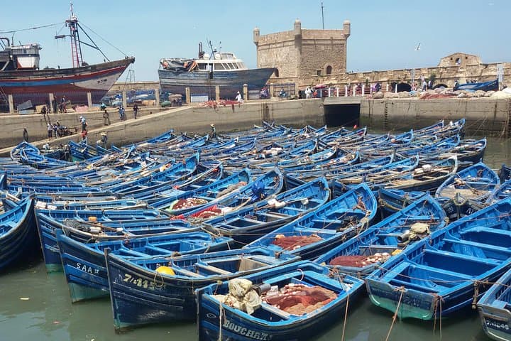 Marrakech to Essaouira: Private Day Trip to the Atlantic Port