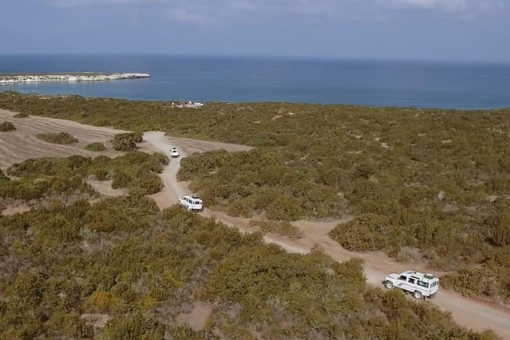 Half-Day Akamas 4x4 Safari: Avakas Gorge & Lara Bay Turtle Visit photo 2