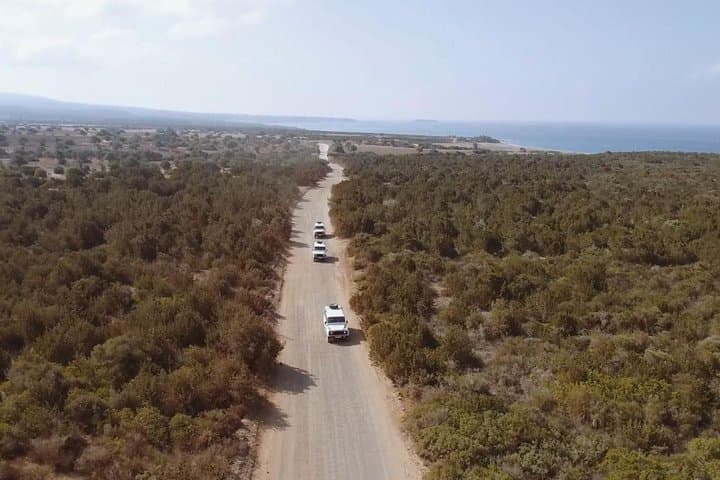 Akamas Peninsula Blue Lagoon Cruise & 4x4 Safari from Limassol — Full-Day Adventure photo 6