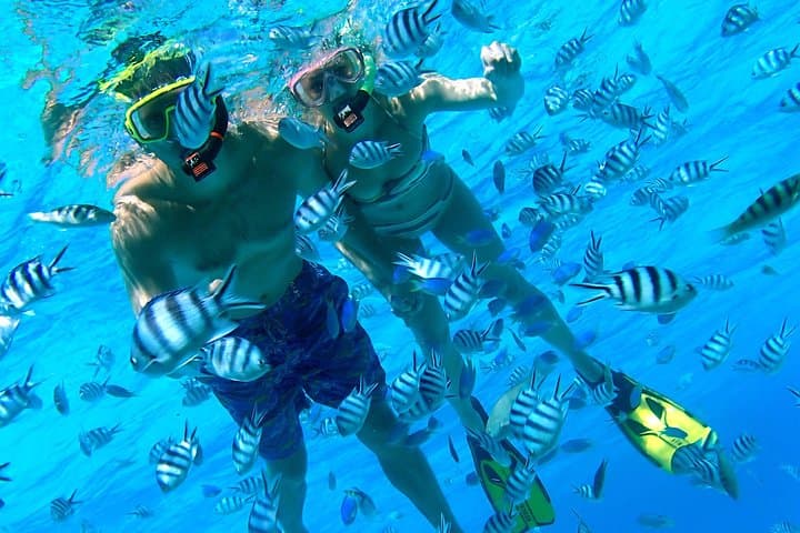 Private Bora Bora Lagoon Snorkel Tour — Half-Day Reef Discovery photo 5