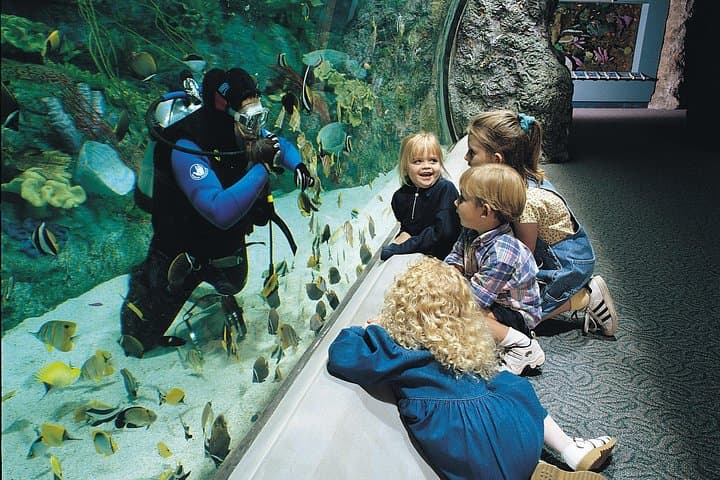 Skip-the-Line Aquarium of the Pacific General Admission Long Beach photo 4