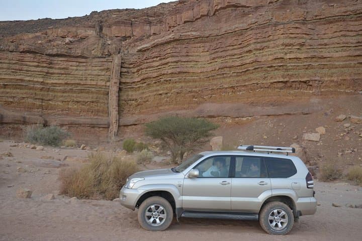 Exploring Ramon Crater: Four-Hour Geological & Wildlife Intro in the Negev photo 2