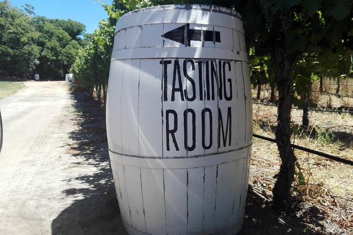 Explore Constantia: Kirstenbosch, Groot Constantia & Steenberg Private Wine and Garden Tour