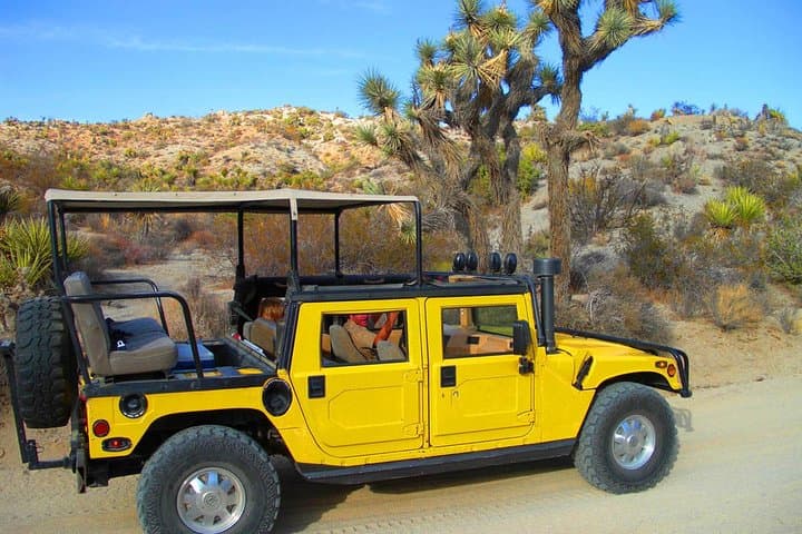 Joshua Tree Open-Air Hummer Adventure — Keys View, Hidden Valley & Balanced Rocks photo 2
