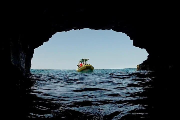 South Kona Small-Group Snorkel Expedition: Kealakekua, Puʻuhonua & Private Black Sand Beach photo 4