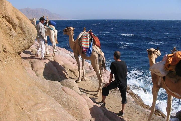 Desert-to-Beach Camel Ride at Camel Yard — Marsa Alam Bedouin Coffee & One-Hour Safari photo 1