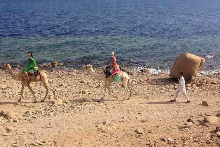 Blue Hole & White Canyon Day Trip: Snorkel, Camel Ride and Ras Abu Galum Adventure