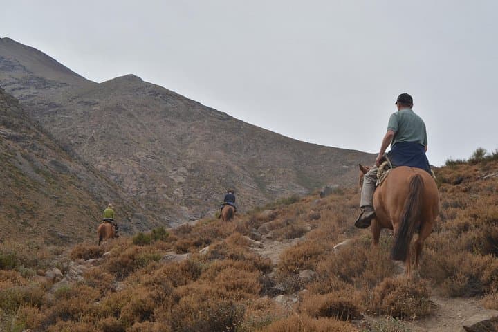 Andean Horseback Ride from Santiago into Yerba Loca: Private Morning Tour photo 1