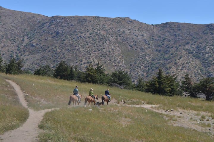 Andean Horseback Ride from Santiago into Yerba Loca: Private Morning Tour photo 2