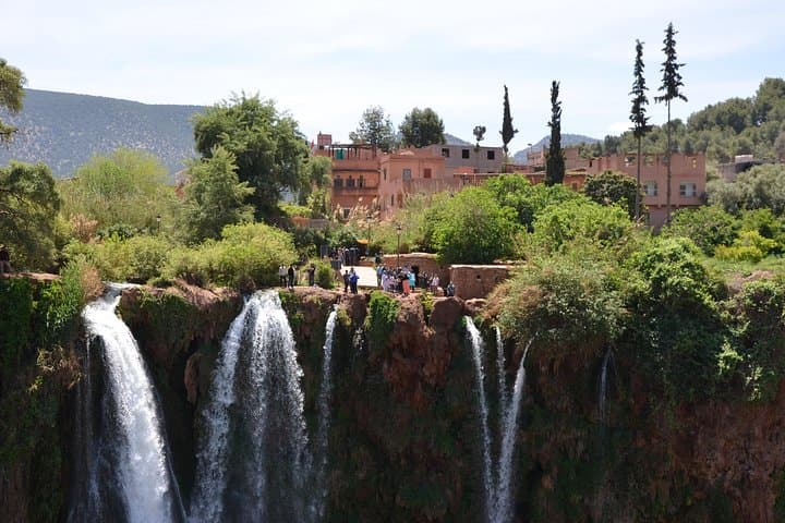 Ouzoud Falls Full-Day Trip from Marrakech — Swim, Hike and Spot Monkeys photo 3