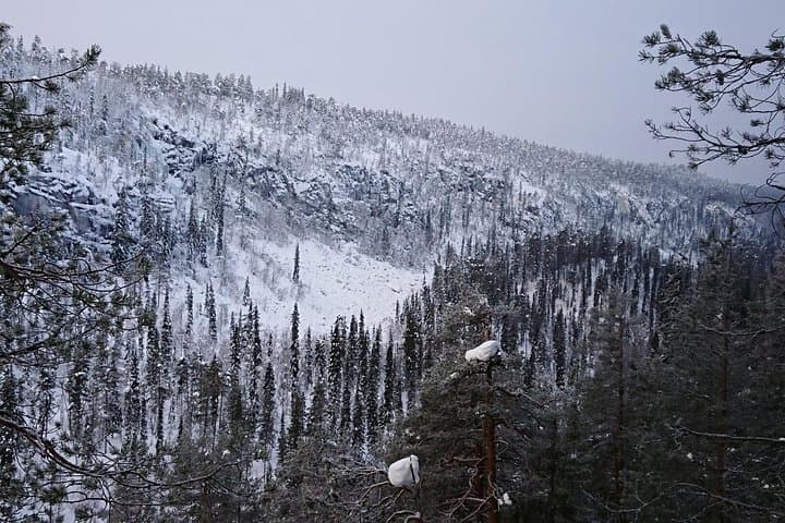 Explore Korouoma Canyon and Auttiköngäs Waterfall — Day Hike from Rovaniemi