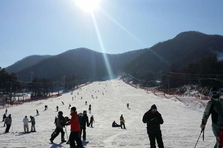 Full-Day Ski Tour to Jisan Ski Resort from Seoul — Lessons, Rentals & Snow Fun photo 3