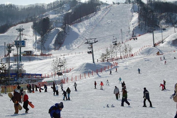 Full-Day Ski Tour to Jisan Ski Resort from Seoul — Lessons, Rentals & Snow Fun photo 4