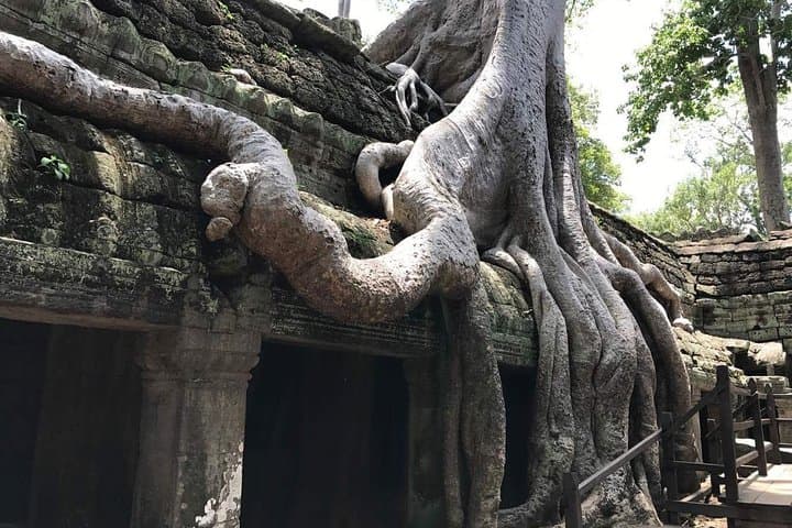 Angkor Highlights: Siem Reap 2-Night, 3-Day Temple Tour photo 5
