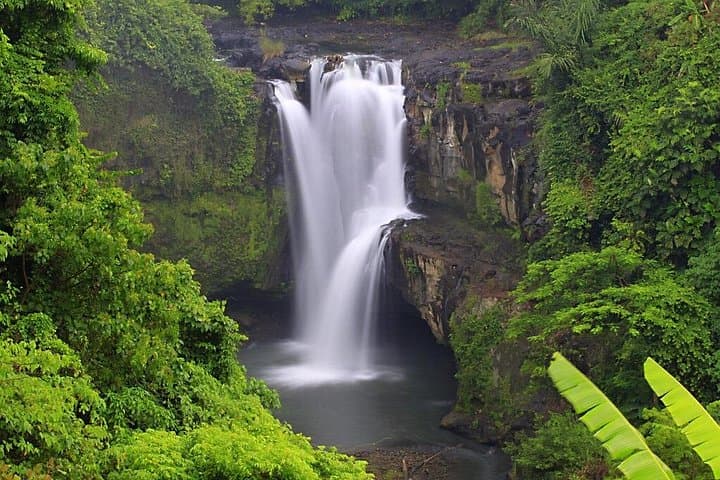 Best of Ubud: Rice Terraces, Monkey Forest & Waterfalls — Private Day Tour photo 1