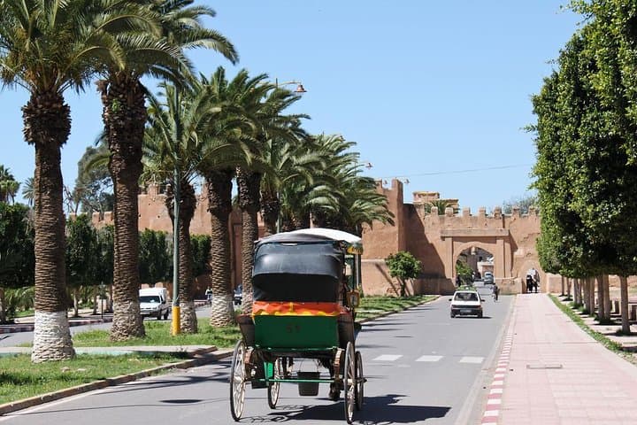 Taroudant and Tiout Day Trip from Agadir — Argan Goats, Ancient Walls & Local Lunch photo 2