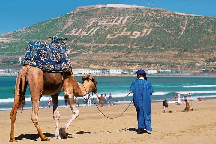 Agadir in Three Hours: Kasbah Views, Souk El Hed & City Highlights