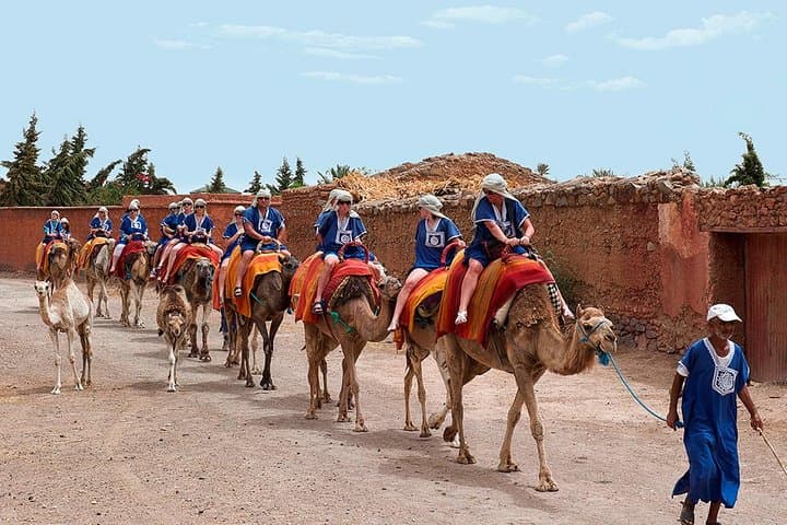 Camel Ride Through Marrakech Palmeraie and Berber Villages: 2-Hour Palm-Grove Excursion