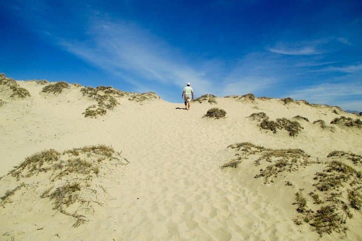 Agadir Sahara Sand Dunes at Timlalin — Half-Day Desert & Atlantic Views photo 3