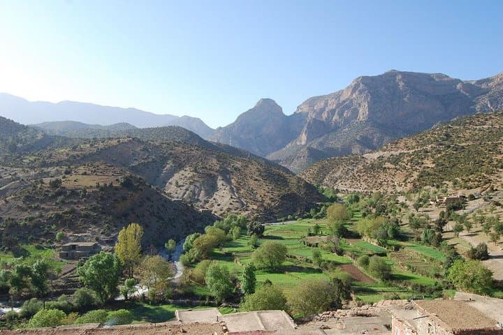 Middle Atlas Day Trip from Fez — Berber Villages, Cedar Forests & Monkeys