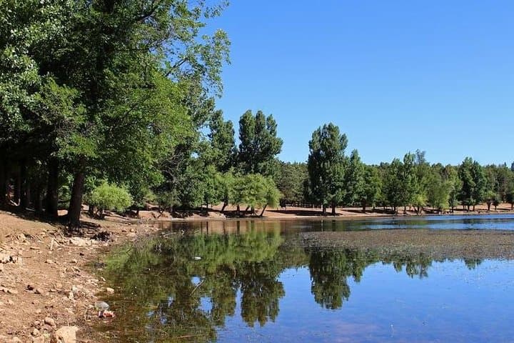 Middle Atlas Day Trip from Fez — Berber Villages, Cedar Forests & Monkeys photo 2