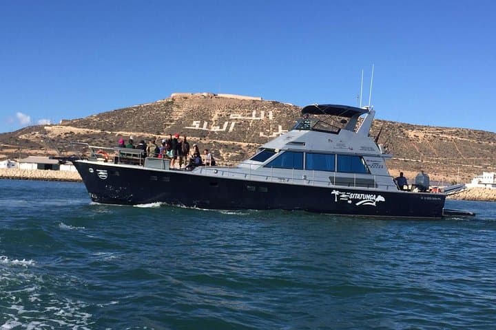 Agadir Coastal Boat Trip with Lunch and Shoreline Fishing photo 1