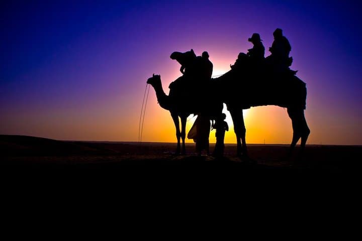 Sunset Camel Ride on the Souss River: Agadir Eucalyptus Trail photo 2