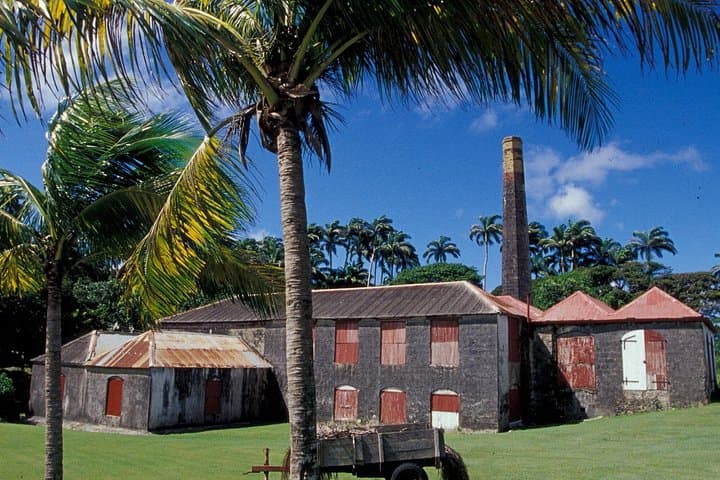 st-nicholas-abbey-plantation-house-and-scenic-railway-tour-barbados photo 2
