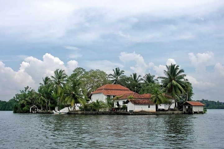 Bentota Day Tour from Colombo: Madu River, Turtle Hatchery & Kothduwa Temple photo 2